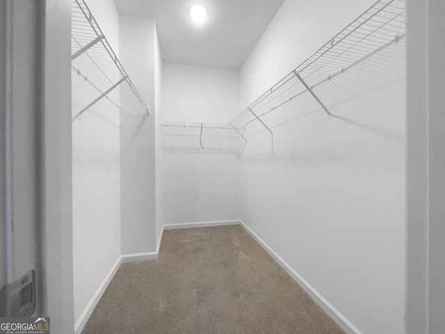 walk in closet with carpet