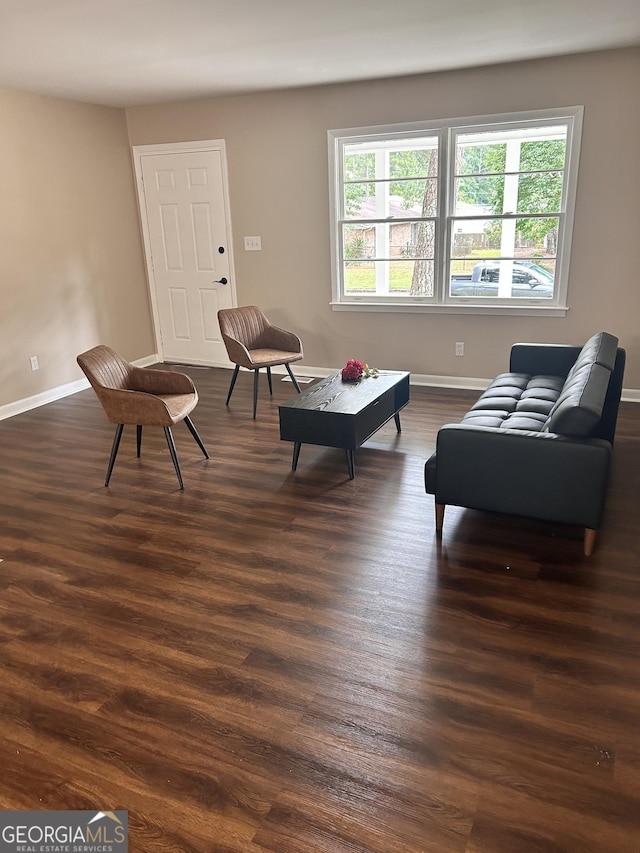 living area featuring dark wood-type flooring