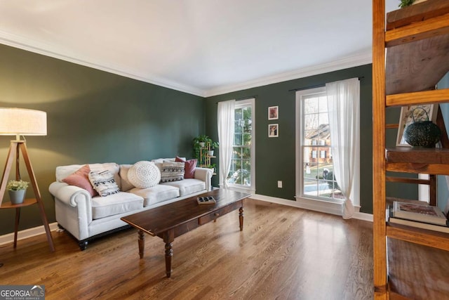 living room with crown molding and hardwood / wood-style flooring