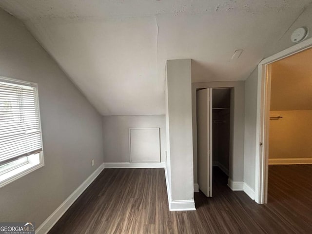 additional living space featuring lofted ceiling, a wealth of natural light, and dark hardwood / wood-style flooring