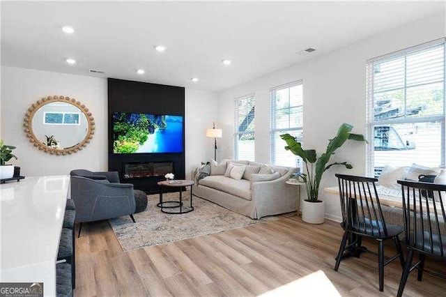 living room with light hardwood / wood-style flooring