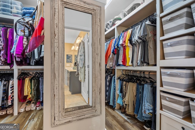 spacious closet with hardwood / wood-style flooring