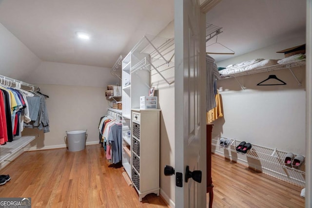 walk in closet with hardwood / wood-style flooring