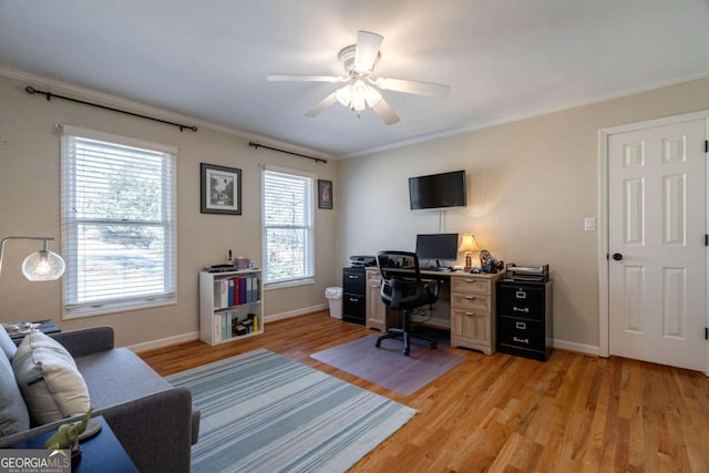 office area with light hardwood / wood-style flooring, ceiling fan, and crown molding