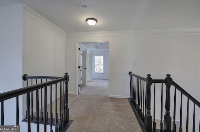 hall with crown molding and light carpet