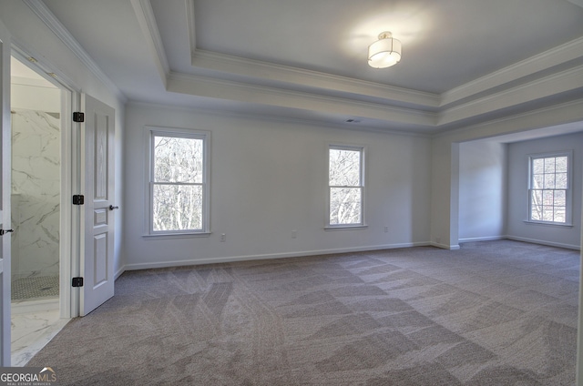 carpeted empty room featuring ornamental molding and a raised ceiling