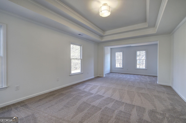 carpeted spare room with a wealth of natural light, crown molding, and a raised ceiling