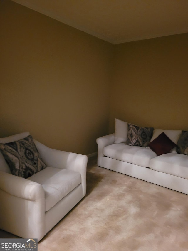 living room featuring light colored carpet