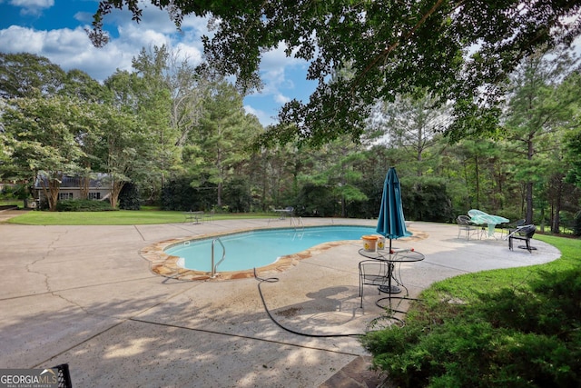 view of swimming pool featuring a patio and a lawn