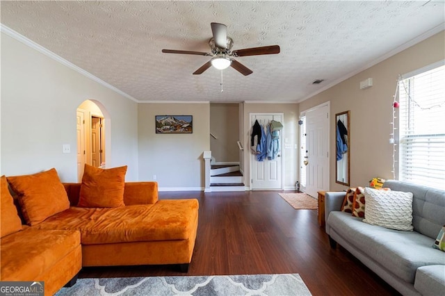 living room with ornamental molding, a textured ceiling, dark wood-type flooring, and a healthy amount of sunlight