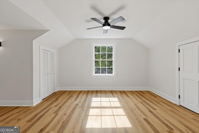 walk in closet featuring hardwood / wood-style flooring