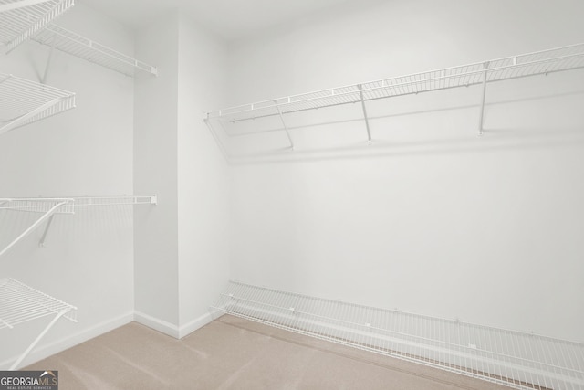 spacious closet featuring carpet flooring