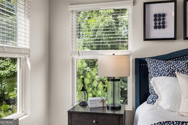 bedroom featuring multiple windows