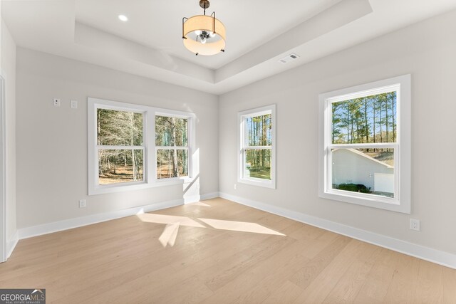 unfurnished room with light hardwood / wood-style floors and a raised ceiling