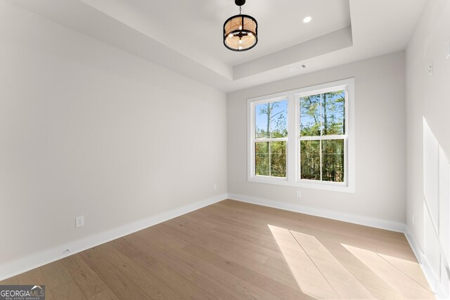 empty room with a raised ceiling and light wood-type flooring