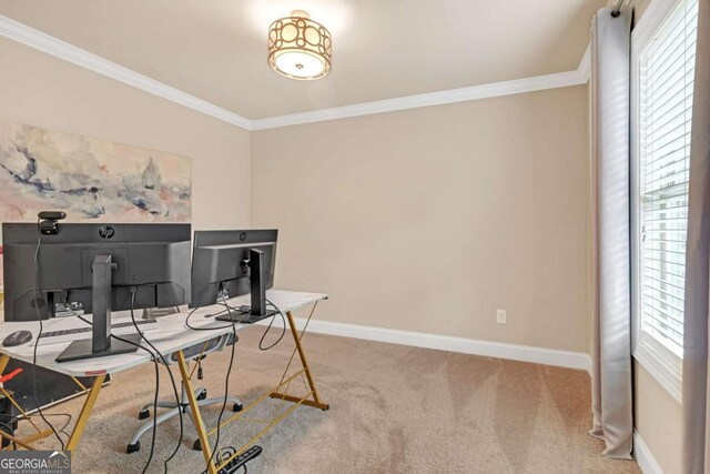 office space with carpet floors, crown molding, and a wealth of natural light