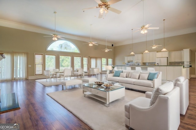 living room with dark hardwood / wood-style floors, a towering ceiling, and a wealth of natural light