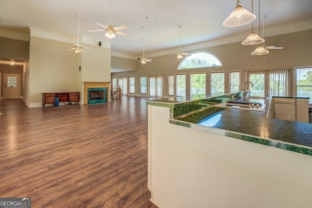 kitchen with sink, hanging light fixtures, dark wood-type flooring, and ornamental molding