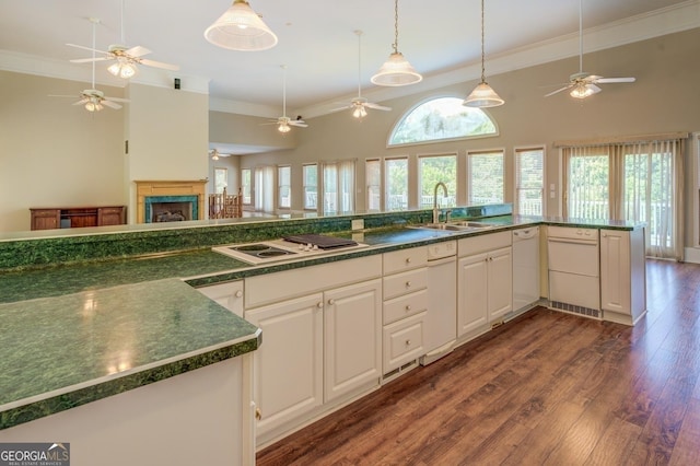 kitchen featuring dark hardwood / wood-style flooring, white cabinetry, sink, and white cooktop