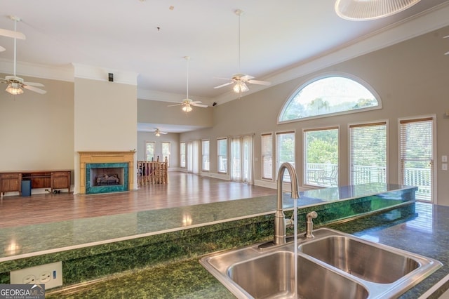 kitchen featuring a premium fireplace, sink, and ornamental molding