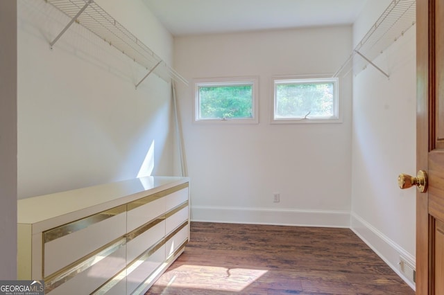 spacious closet with dark wood-type flooring