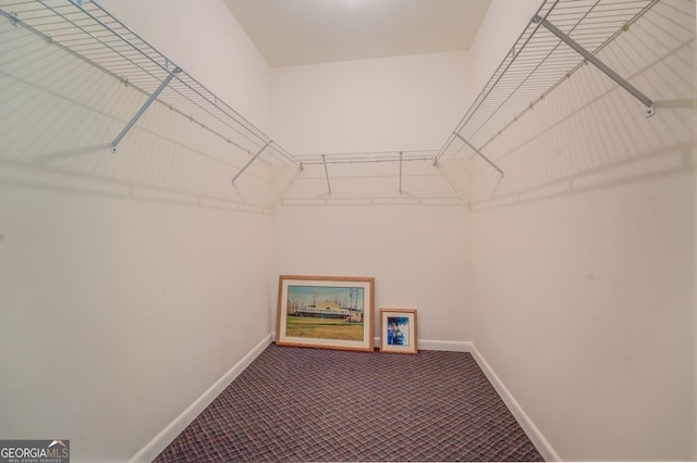 spacious closet with carpet flooring