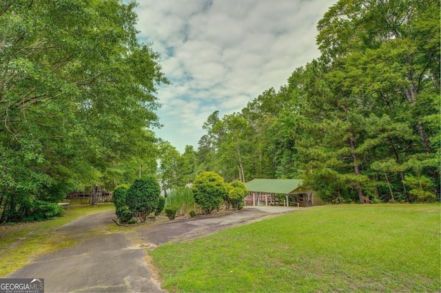 view of yard featuring a carport