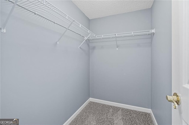 spacious closet featuring carpet flooring