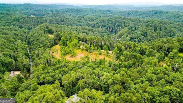 1267 Hicks Ford Rd, Ellijay, GA 30540