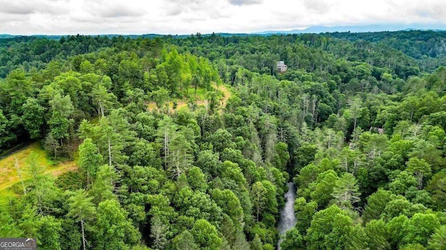 1267 Hicks Ford Rd, Ellijay, GA 30540