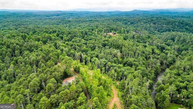1267 Hicks Ford Rd, Ellijay, GA 30540