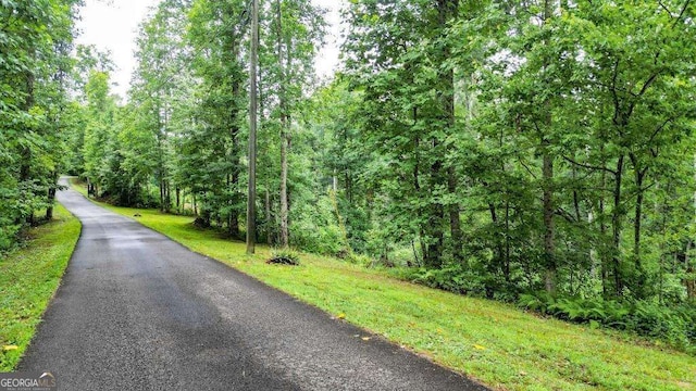 1267 Hicks Ford Rd, Ellijay, GA 30540