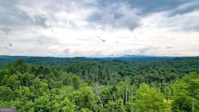 1267 Hicks Ford Rd, Ellijay, GA 30540