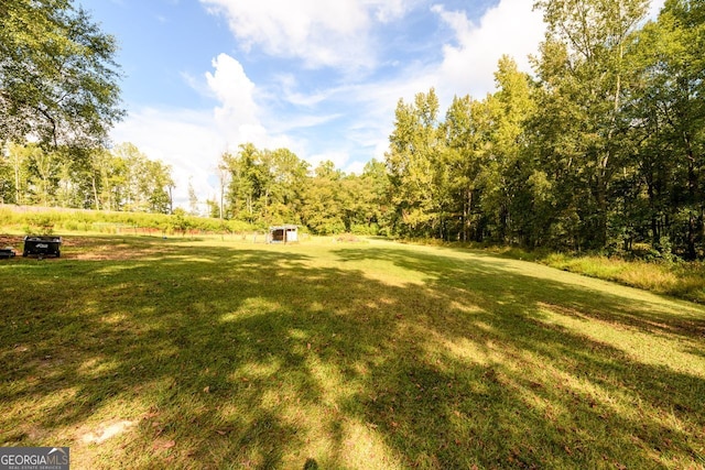 view of yard featuring a storage shed