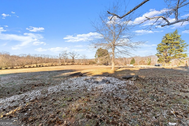 view of yard with a rural view