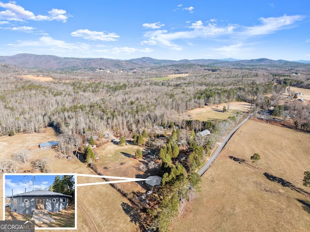 bird's eye view with a mountain view