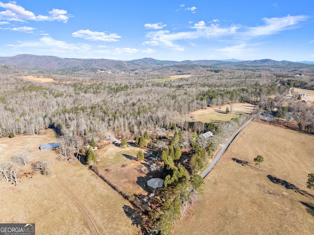 drone / aerial view featuring a mountain view