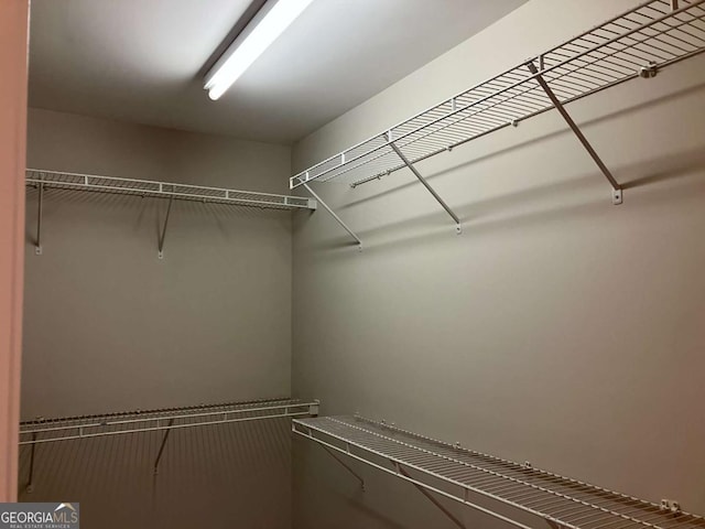 view of spacious closet