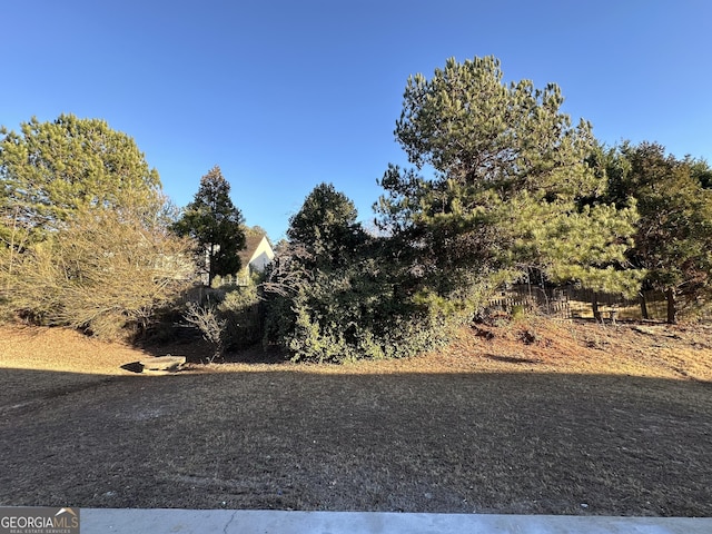 681 Courageous Ct, Lawrenceville, GA 30043 - view of yard