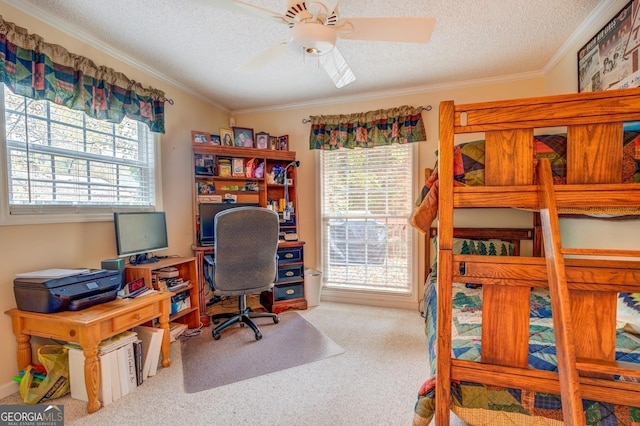 carpeted office space featuring a wealth of natural light, a textured ceiling, ornamental molding, and ceiling fan