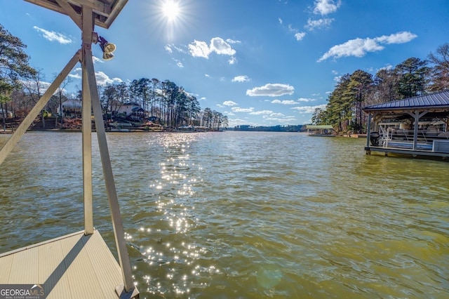 dock area with a water view
