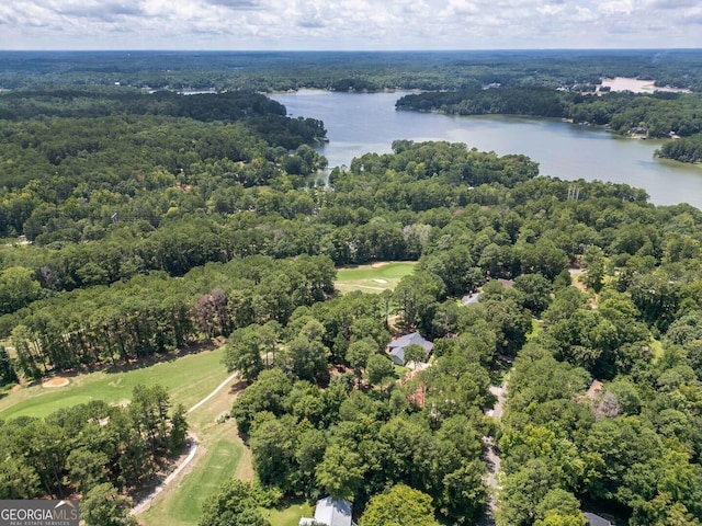 birds eye view of property featuring a water view and a view of trees