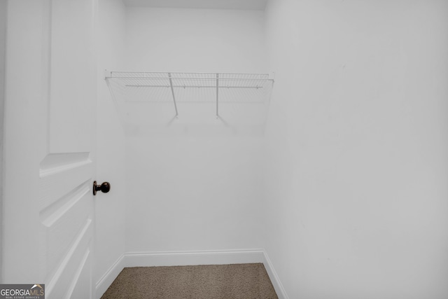 spacious closet with carpet flooring