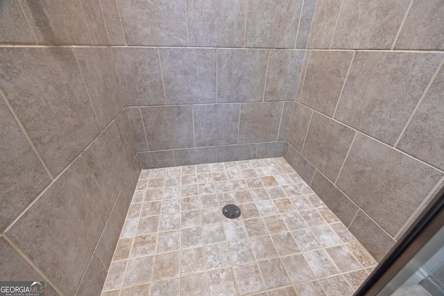 room details featuring tiled shower