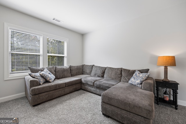 living room featuring carpet flooring