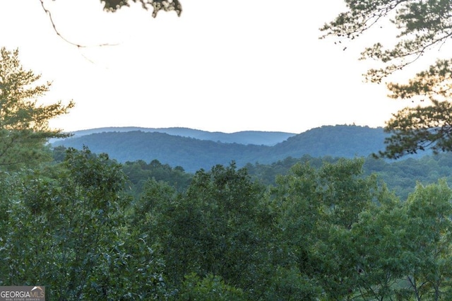 view of mountain feature