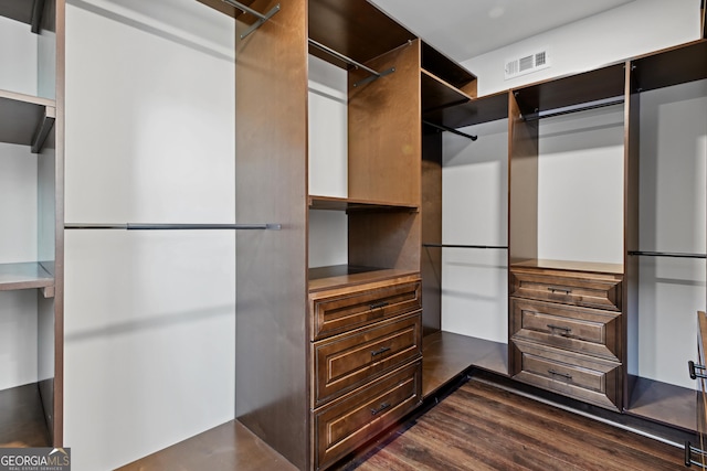 spacious closet featuring dark wood-type flooring