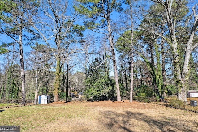 view of yard featuring a storage unit