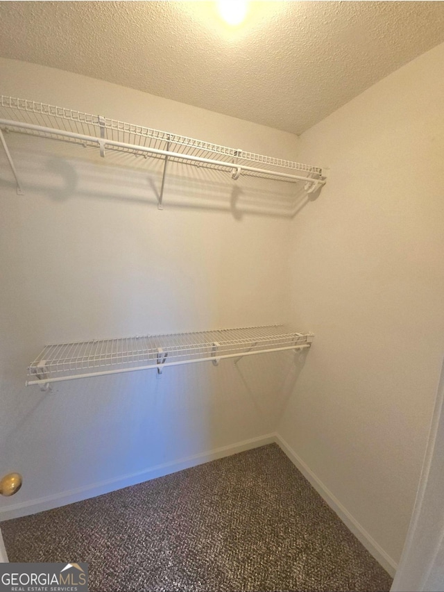 walk in closet featuring carpet floors