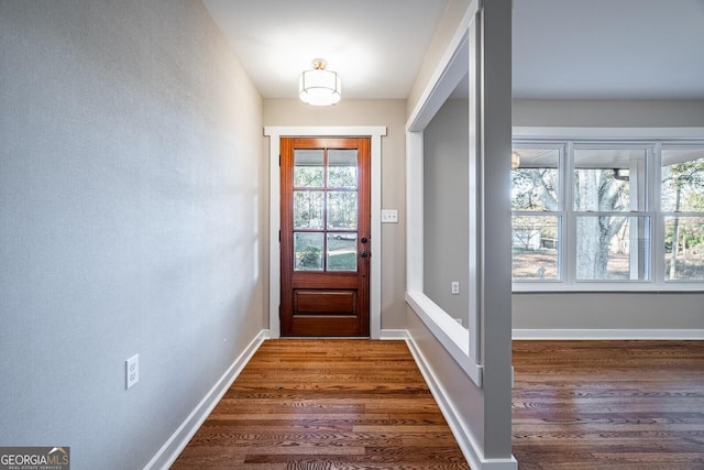 entryway with dark wood-type flooring